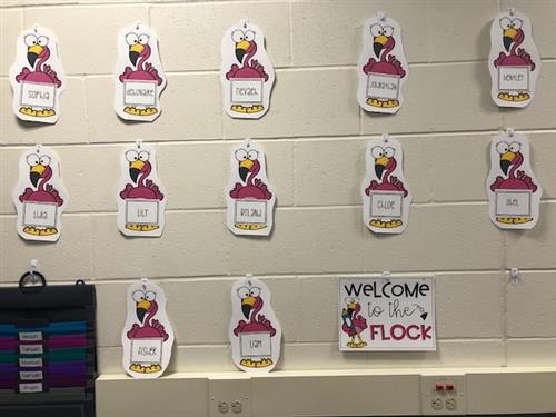Welcome to our Flock 